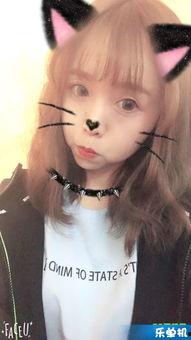 东北水仙二嫂在线观看,在线观看，感受东北风情与民间智慧