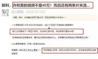 港媒爆料新闻事件视频播放,新闻事件视频播放引发热议