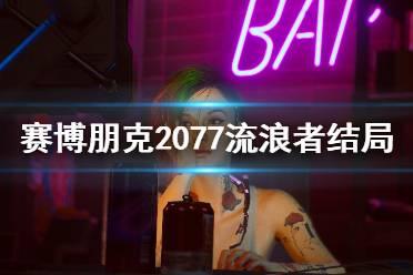 流浪者爆料演示视频下载,下载背后的真相与挑战
