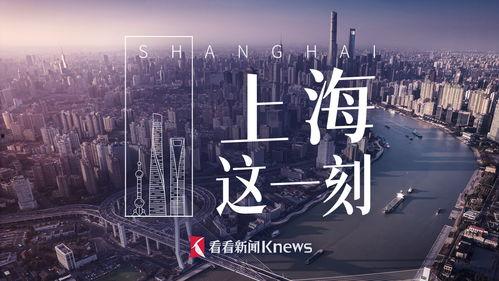 突发新闻视频爆料,事件背后真相令人震惊