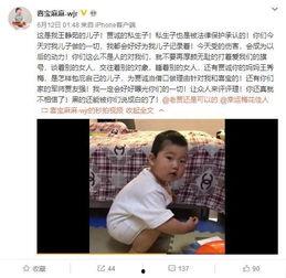 郑磊最新爆料视频大全,揭秘背后惊人真相