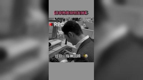 娱乐最新爆料视频大全集,最新视频大全集精彩瞬间回顾
