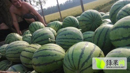 吃瓜最新事件爆料菏泽,揭秘背后惊人真相