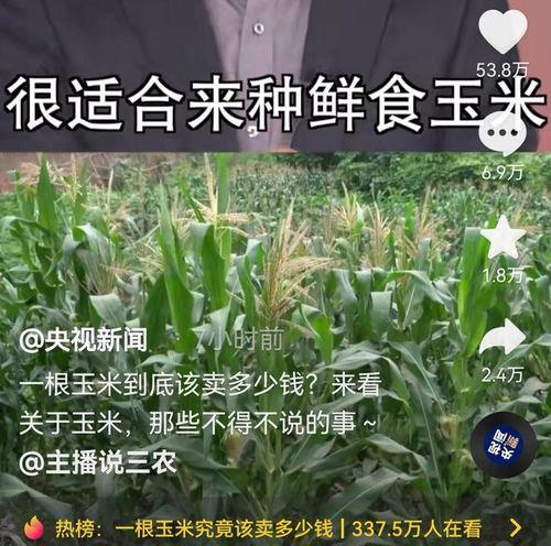 董宇辉爆料央视新闻内容,揭秘幕后真相