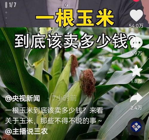 董宇辉爆料央视新闻内容,揭秘幕后真相