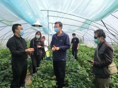 西北农林爆料最新消息今天,重大科研成果引发行业关注！”