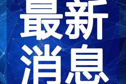 营口寺庙爆料视频最新版,神秘古迹揭秘，历史沧桑重现