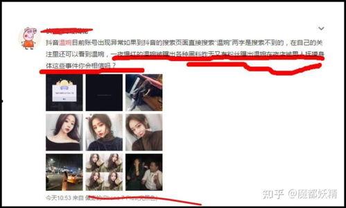 网红吃瓜聊天网站大全,揭秘全网热门网红吃瓜聊天网站大盘点
