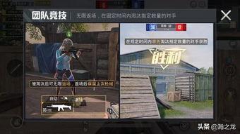 王牌地图爆料视频大全集,揭秘游戏世界背后的精彩故事
