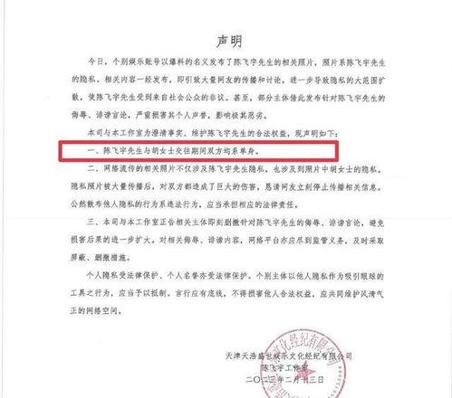 陈飞爆料视频大全,揭秘娱乐圈幕后真相