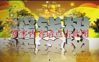 珠江台在线观看,畅享精彩瞬间，尽在指尖流转