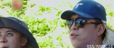黄渤爆料真人秀视频,幕后趣事与人生感悟
