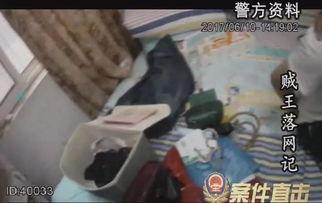贼王最新爆料视频大全集,最新爆料视频大全集深度解析