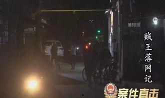贼王最新爆料视频大全集,最新爆料视频大全集深度解析
